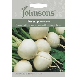 Seminte BRASSICA rapa-Turnip- Snowball -Nap turcesc