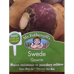 Seminte BRASSICA napus-Swede- Gowrie -Nap suedez rezistent la fainare Seminte BRASSICA napus-Swede- Gowrie -Nap suedez rezistent la fainare