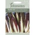 Seminte CICHORIUM intybus-Radicchio- Rossa di Treviso Precoce - Andiva-Cicoare rosie