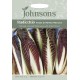 Seminte CICHORIUM intybus-Radicchio- Rossa di Treviso Precoce - Andiva-Cicoare rosie