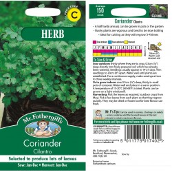 Seminte CORIANDRUM sativum-Herbs Coriander- Cilantro (foth) -Coriandru de frunze