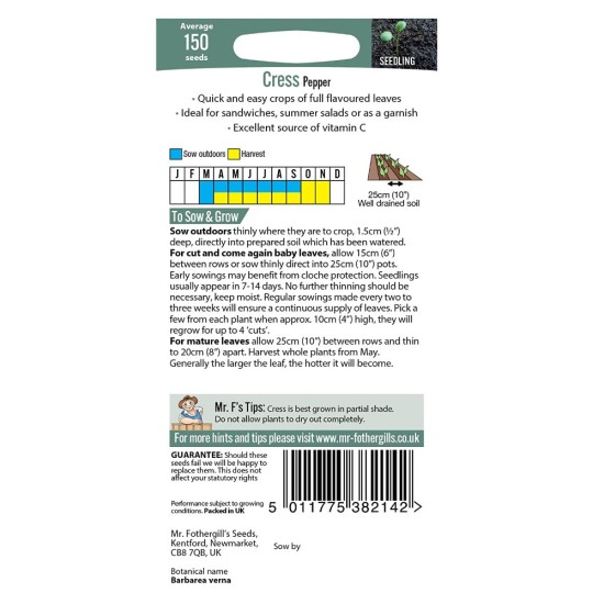 Seminte CRESSON barbarea verna-Herbs Cress- Pepper -Creson de munte