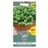 Seminte CRESSON barbarea verna-Herbs Cress- Pepper -Creson de munte