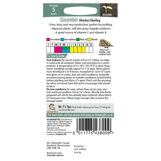 Seminte CUCUMIS sativus-Cucumber Gherkin- GherKing -Castraveti cornișon de solar sau pt afara
