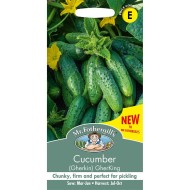 Seminte CUCUMIS sativus-Cucumber Gherkin- GherKing -Castraveti cornișon de solar sau pt afara