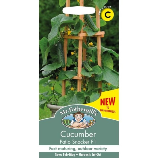 Seminte CUCUMIS sativus-Cucumber Gherkin- Patio Snacker F1 -Castraveti cornișonde ghiveci, pt afara