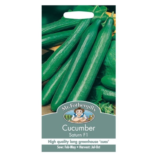 Seminte CUCUMIS sativus-Cucumber- Saturn F1 -Castraveti lungi, pt sera, doar cu flori femele