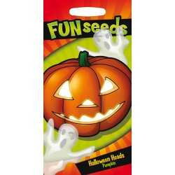 Seminte CUCURBITA pepo-hybrida-Pumpkin- Halloween Heads -Dovleac de placinta (FUNseeds)