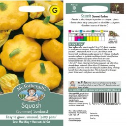 Seminte CUCURBITA pepo-Squash Summer- Sunburst F1 -Dovlecel pattison