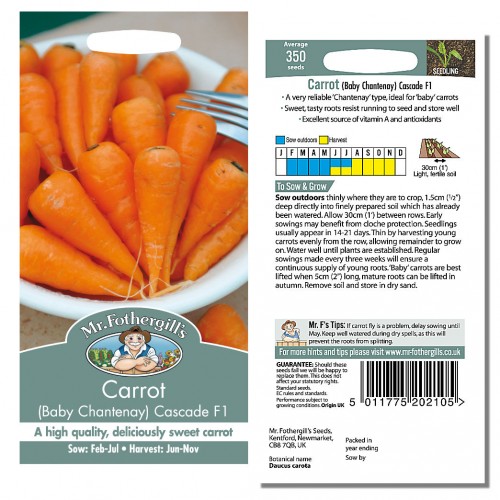 Seminte DAUCUS carota-Carrot- Cascade F1 (Baby Chantenay) -Morcov mini