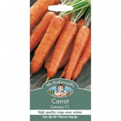 Seminte DAUCUS carota-Carrot- Extremo F1 - Morcovi 