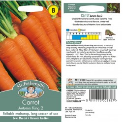 Seminte DAUCUS carota-Carrot- Autumn King 2 -Morcov dulce, productiv