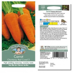 Seminte DAUCUS carota-Carrot- Chantenay Red Cored 2-Morcovi cu pulpa densa
