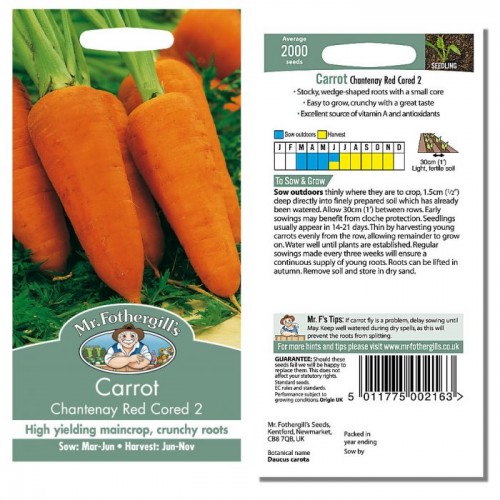 Seminte DAUCUS-Carrot- carota Chantenay Red Cored 2-Morcovi cu pulpa densa