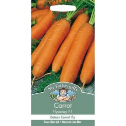 Seminte DAUCUS carota-Carrot- Flyaway F1-Morcovi rezistenti la musculita