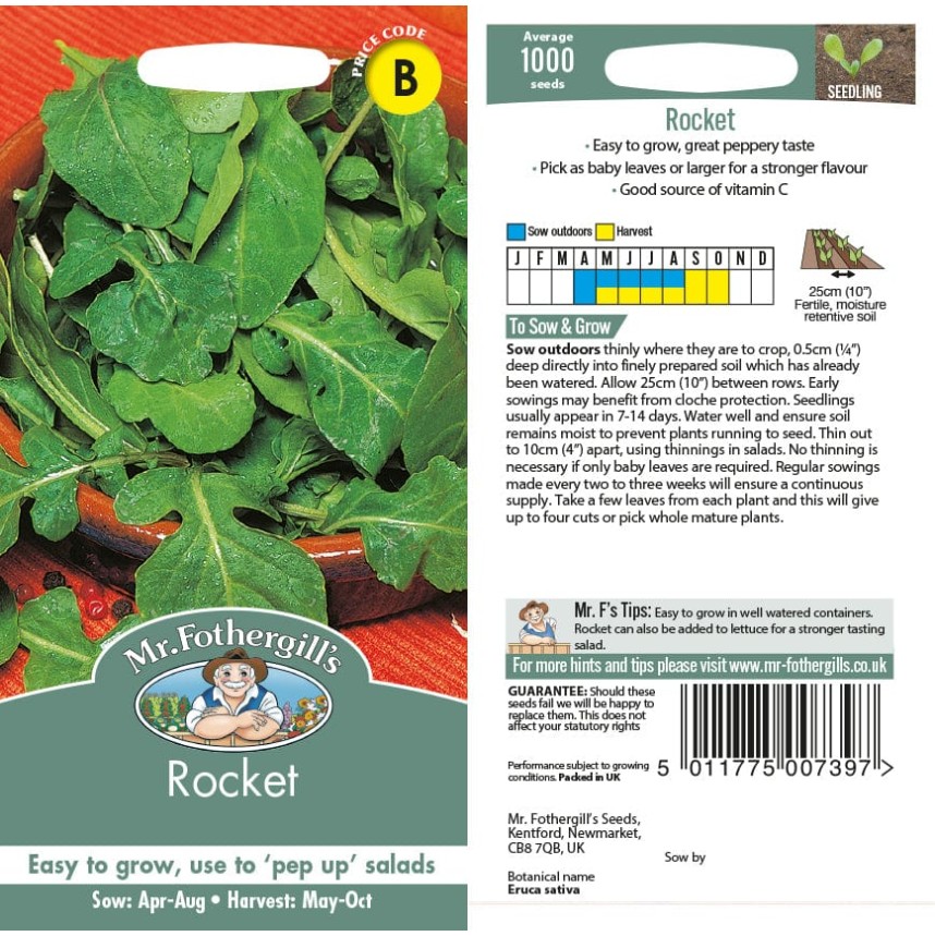 Seminte ERUCA sativa-Herbs Rocket- Rucola de baby leaves