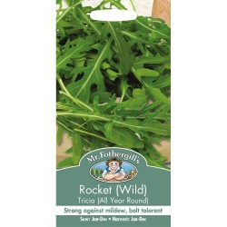 Seminte ERUCA tenuifolia-Herbs Rocket Wild- Tricia (All Year Round) - Rucola cu frunza crestata