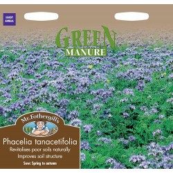 Seminte GREEN manure-PHACELIA tanacetifolia - Ingrasamant verde