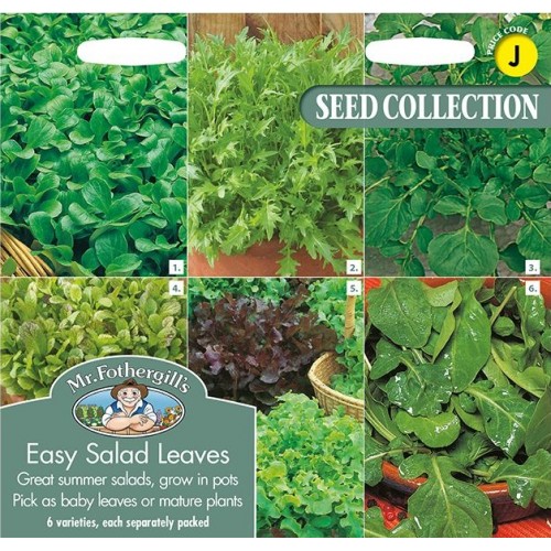Seminte LACTUCA sativa-Lettuce- COLLECTION Easy Salad Leaves (valerianela, creson,salata mix, mizuna, mustar,rucola) - 6 specii pentru salata