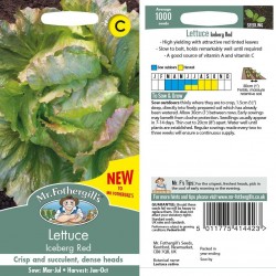 Seminte LACTUCA sativa-Lettuce- Iceberg Red -Salata tip iceberg