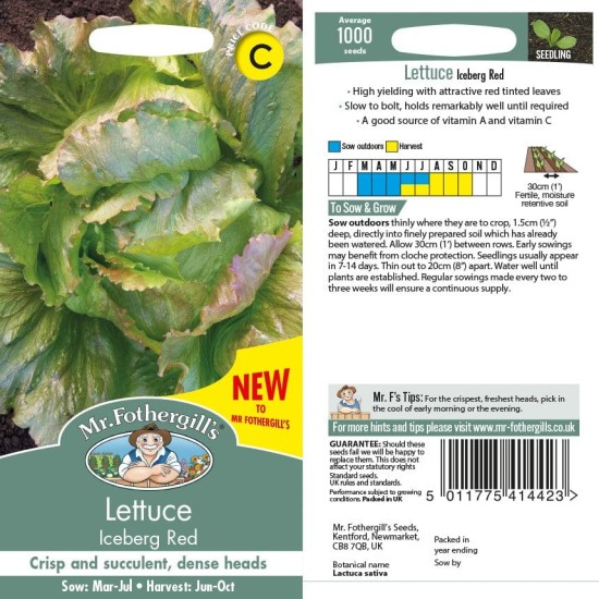 Seminte LACTUCA sativa-Lettuce- Iceberg Red -Salata tip iceberg