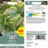 Seminte LACTUCA sativa-Lettuce- Iceberg Red -Salata tip iceberg