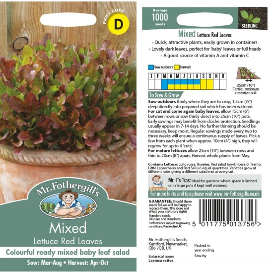 Seminte LACTUCA sativa-Lettuce- Mixed Red Leaves -Salata rosie, amestec de soiuri