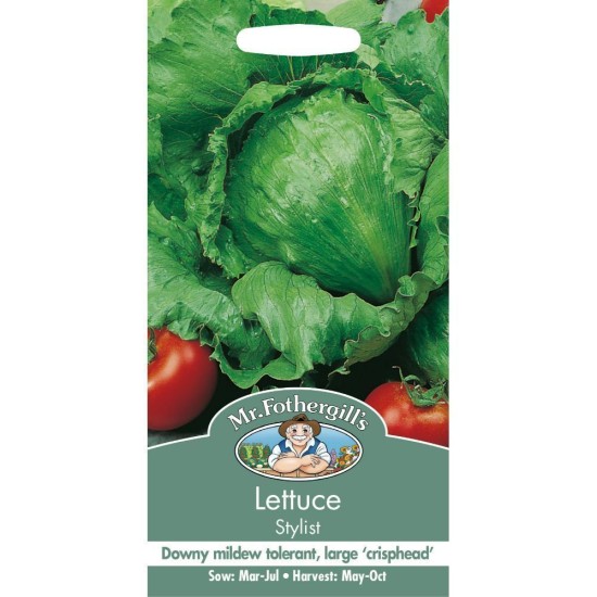 Seminte LACTUCA sativa-Lettuce- Stylist -Salata rezistenta la fainare Seminte LACTUCA sativa-Lettuce- Stylist -Salata rezistenta la fainare