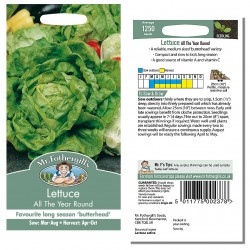 Seminte LACTUCA sativa-Lettuce- All The Year Round -Salata verde, pt orice sezon