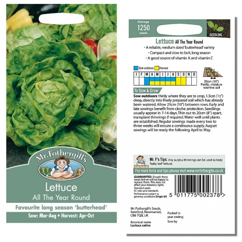 Seminte LACTUCA sativa-Lettuce-All The Year Roun - Salata verde, pt orice sezon