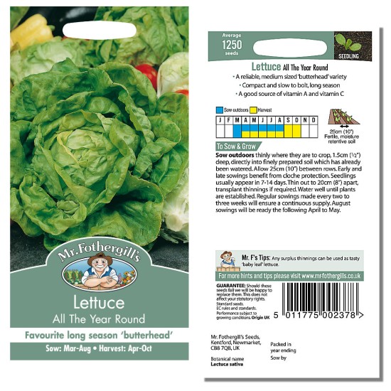 Seminte LACTUCA sativa-Lettuce- All The Year Round -Salata verde, pt orice sezon