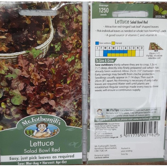 Seminte LACTUCA sativa-Lettuce- Salad Bowl Red -Salata cu frunze rosii