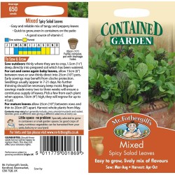 Seminte LACTUCA species-Lettuce- Mixed Spicy Salad Leaves -Amestec de frunze aromate 