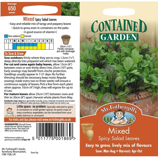 Seminte LACTUCA species-Lettuce- Mixed Spicy Salad Leaves -Amestec de frunze aromate 