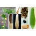 Seminte LUFFA cylindrica -Vegetable Sponge -Burete Vegetal