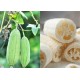 Seminte LUFFA cylindrica- Vegetable Sponge -Burete Vegetal