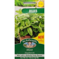 Seminte MENTHA-Mint- suaveolens (Applemint)-Herb Foth-Menta aroma de fructe