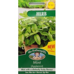 Seminte MENTHA-Mint- suaveolens (Applemint)-Herb Foth-Menta aroma de fructe