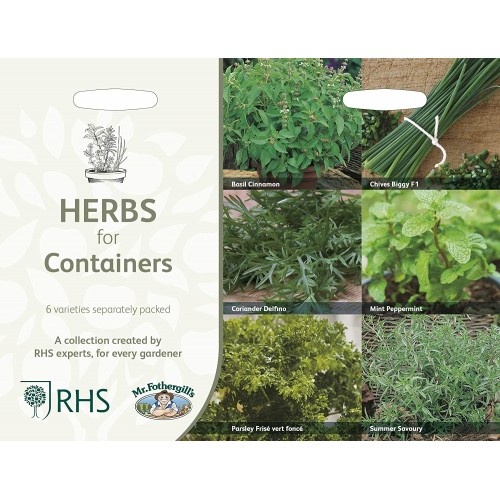 Seminte MIXED Collection- HERBS for Containers (cu: busuioc, chives, coriandru, menta, patrunjel si cimbru) - 