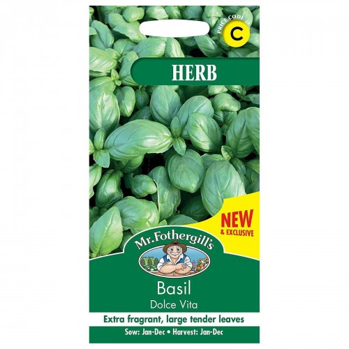 Seminte OCIMUM basilicum-Herbs Basil- Dolce Vita - Busuioc aroma de pesto, frunze mari