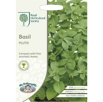 Seminte OCIMUM basilicum-Herbs Basil- Pluto -Busuioc grecesc