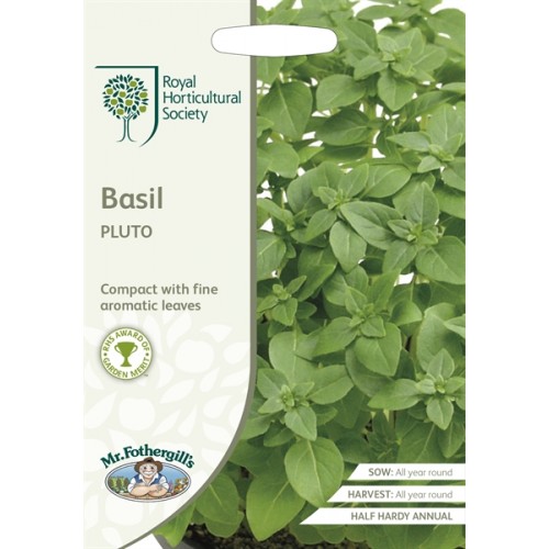 Seminte OCIMUM basilicum-Herbs Basil- Pluto - Busuioc grecesc