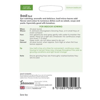 Seminte OCIMUM basilicum- Basil Red (micro-greens) -Busuioc rosu