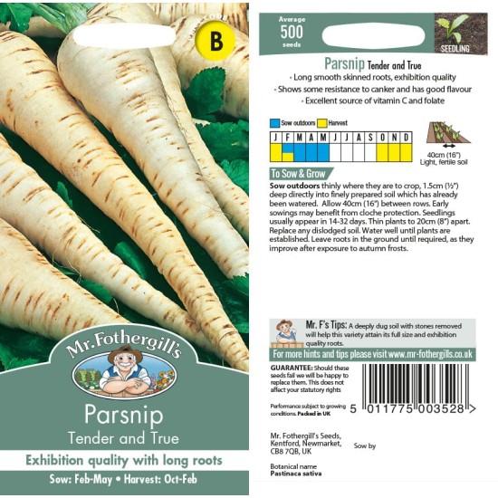 Seminte PASTINACA sativa-Parsnip- Tender and True -Pastarnac