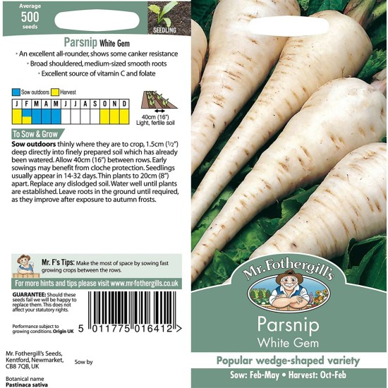 Seminte PASTINACA sativa-Parsnip- White Gem -Pastarnac