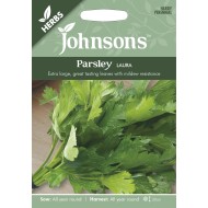 Seminte PETROSELINUM crispum-Herbs Parsley- Laura -Patrunjel de frunze