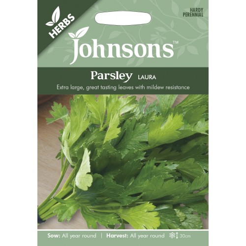 Seminte PETROSELINUM crispum-Parsley- Laura-Patrunjel de frunze