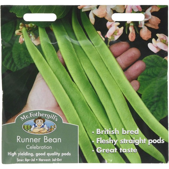 Seminte PHASEOLUS coccineus-Runner Bean- Celebration -Fasole urcatoare viguroasa