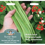 Seminte PHASEOLUS coccineus-Runner Bean- St George -Fasole urcatoare