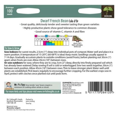 Seminte PHASEOLUS vulgaris-Dwarf Bean- Cala D'Ór -Fasole pitica cu teci galbene